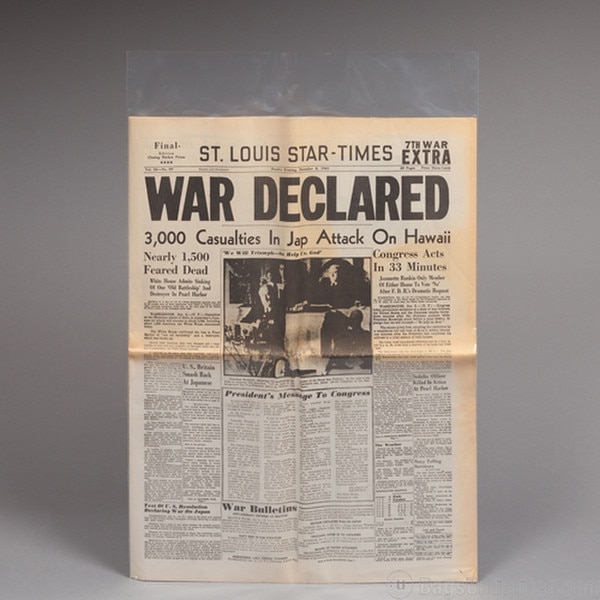 Newspaper Sleeve. Holds whole / fla